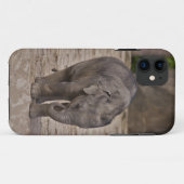 子象のiPhone 5 Case-Mateケース Case-Mate iPhoneケース (裏面(横))