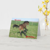 子馬のバースデー・カード カード (黄色い花)