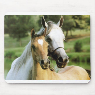 子馬のパッド マウスパッド