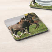 子馬のランニング コースター (左側)