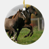 子馬のランニング セラミックオーナメント (裏面)
