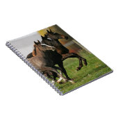 子馬のランニング ノートブック (右側)