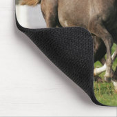 子馬のランニング マウスパッド (コーナー)