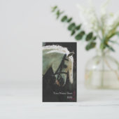 子馬の名刺を示して下さい 名刺 (スタンド正面)