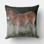 子馬の地位 クッション (裏面)