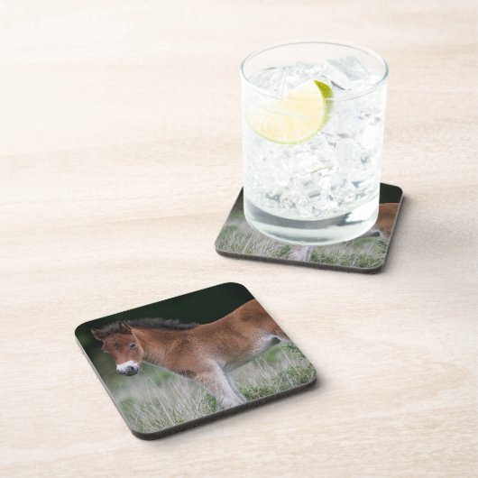 子馬の地位 コースター (右側)