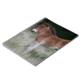 子馬の地位 ノートブック (左側)