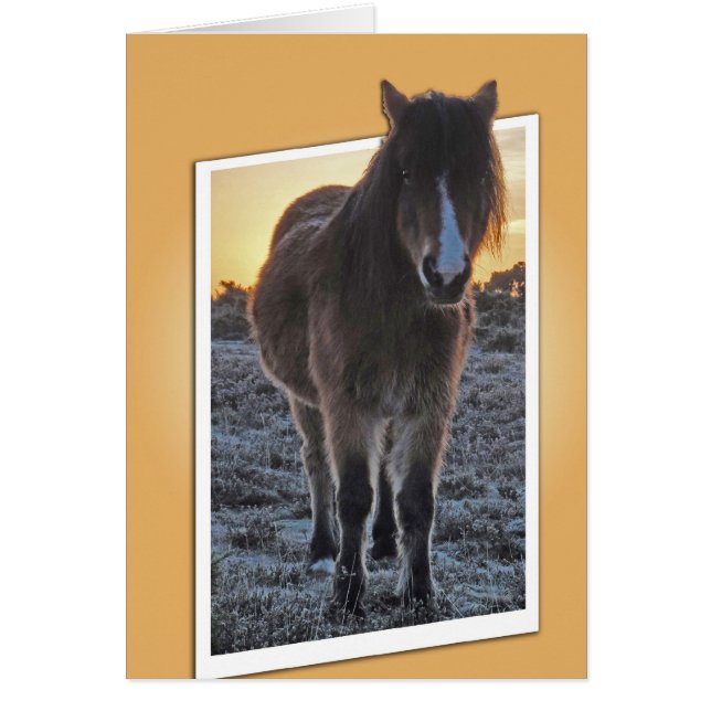 子馬の排気切替器カード (正面)