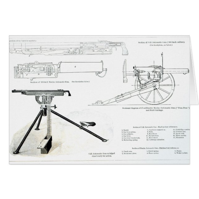 子馬の自動銃の比較 (正面横)