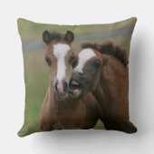 子馬の遊ぶこと クッション (裏面)