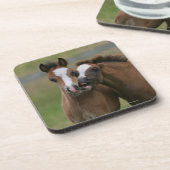 子馬の遊ぶこと コースター (左側)