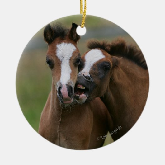 子馬の遊ぶこと セラミックオーナメント (正面)