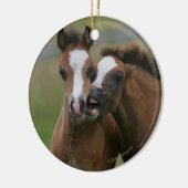 子馬の遊ぶこと セラミックオーナメント (左)