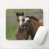 子馬の遊ぶこと マウスパッド (マウス)