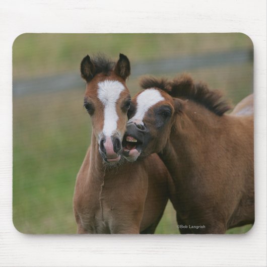 子馬の遊ぶこと マウスパッド (正面)