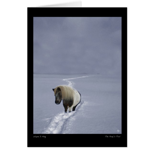 子馬の道カード (正面)