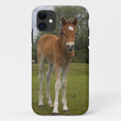 子馬のiPhone 5 カバー (裏面)
