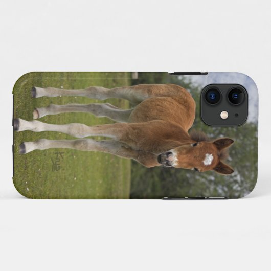 子馬のiPhone 5 カバー (裏面(横))