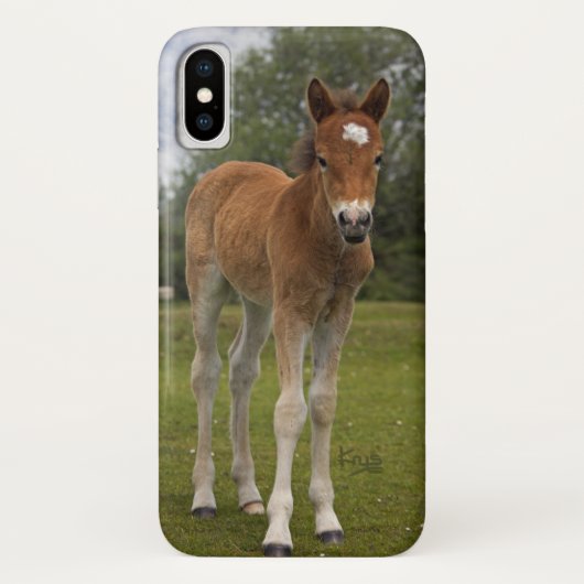 子馬のiPhone Xケース Case-Mate iPhoneケース (裏面)