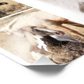 子馬は子馬になる – Mustang Collage フォトプリント (角)