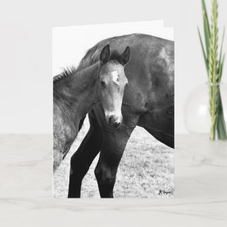 子馬ハッピーバースデー カード