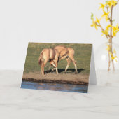 子馬遊グリーティングカード カード (黄色い花)