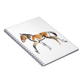 子馬 ノートブック (右側)