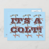 子馬! ポストカード (正面/裏面)