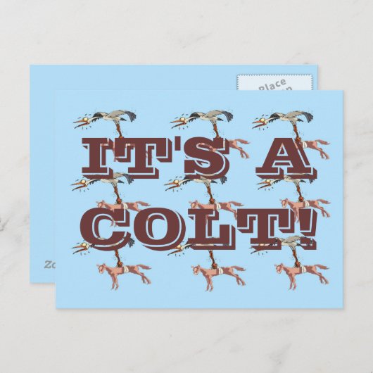 子馬! ポストカード (正面/裏面)