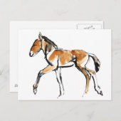 子馬 ポストカード (正面/裏面)