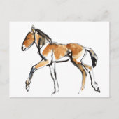 子馬 ポストカード (正面)