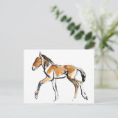 子馬 ポストカード (スタンド正面)