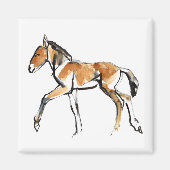 子馬 マグネット (正面)