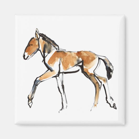 子馬 マグネット (正面)