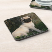 子鹿のパグの子犬のモデル コースター (左側)