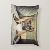 子鹿のボクサーの子犬 アクセントクッション (裏面(縦))
