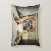 子鹿のボクサーの子犬 アクセントクッション (正面(垂直))