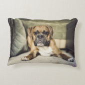 子鹿のボクサーの子犬 アクセントクッション (裏面)