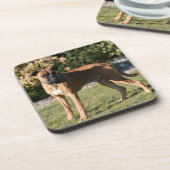 子鹿のボクサー犬の地位 コースター (左側)