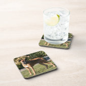 子鹿のボクサー犬の地位 コースター (右側)