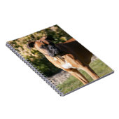 子鹿のボクサー犬の地位 ノートブック (右側)