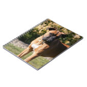 子鹿のボクサー犬の地位 ノートブック (左側)