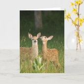 子鹿の挨拶状第6 カード (黄色い花)