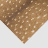 子鹿の毛皮のベビーのシカの皮 薄葉紙 (詳細)