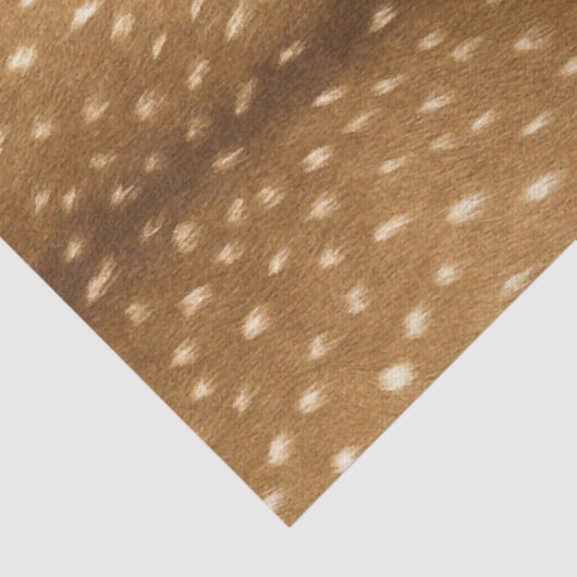 子鹿の毛皮のベビーのシカの皮 薄葉紙 (詳細)