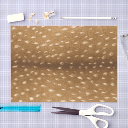 子鹿の毛皮のベビーのシカの皮 薄葉紙 (クラフト)