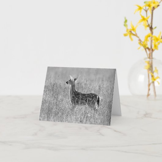 子鹿の熟視 カード (黄色い花)