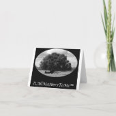 子鹿の熟視 カード (裏面)