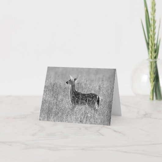 子鹿の熟視 カード (正面)