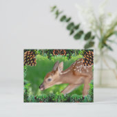 子鹿クリスマスカード シーズンポストカード (スタンド正面)